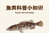 我的世界鳜鱼寻找技巧是什么？
