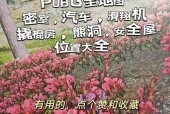 绝地求生坑位开启方法是什么？开启坑位对游戏有何帮助？