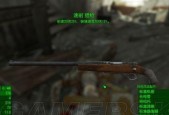 辐射4前缀属性一览——装备前缀效果解析（探索辐射4中装备前缀的奥秘）
