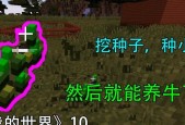 《我的世界》手机版中种子的使用技巧有哪些？