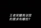 王者荣耀青训加好友需要多少钱？青训加好友的费用是多少？
