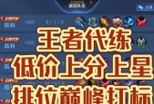 王者荣耀中如何查看自己或他人的段位？段位显示在何处？
