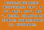 《摩尔庄园手游水晶粽食谱配方大揭秘》（游戏中的美食研究）