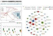 问道果果如何增加抗性？提升抗性的最佳方式是什么？