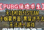 绝地求生度假岛下载失败怎么办？