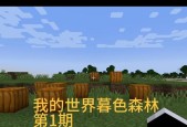我的世界中如何前往暮色森林？