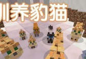 我的世界中豹猫训练方法是什么？
