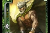 三国杀巅峰赛卡武将技巧有哪些？