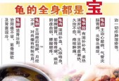 问道游戏中如何获得龟宠物？获取龟宠物的方法有哪些？