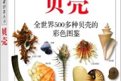 神秘贝壳获取方式汇总？宝可梦大探险中贝壳的获取方法是什么？