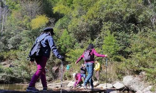 探秘荒岛上的神秘遗迹（揭开新地萨诺遗迹的秘密）  第1张
