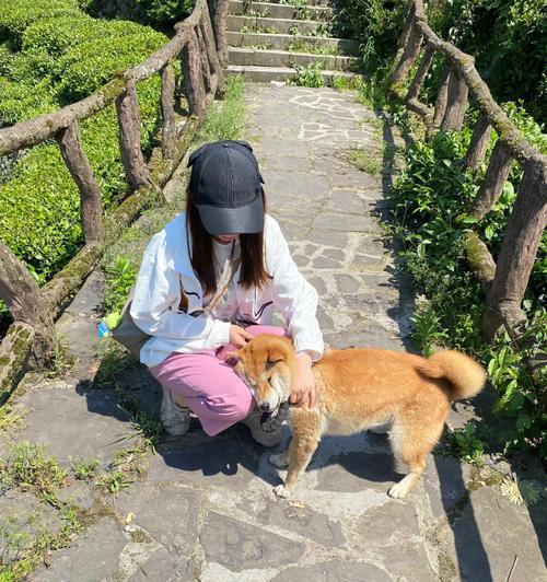 猪大胖技能属性介绍？风暴对决中猪大胖的表现如何？  第2张