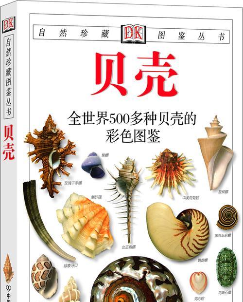 神秘贝壳获取方式汇总？宝可梦大探险中贝壳的获取方法是什么？  第1张