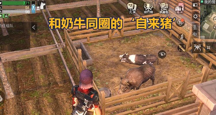 明日之后2月26日开个箱金钥匙答案是什么？如何获取？  第3张