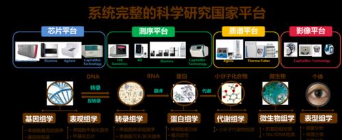 跨越星弧芯片选择攻略？武器芯片属性有哪些特点？  第3张
