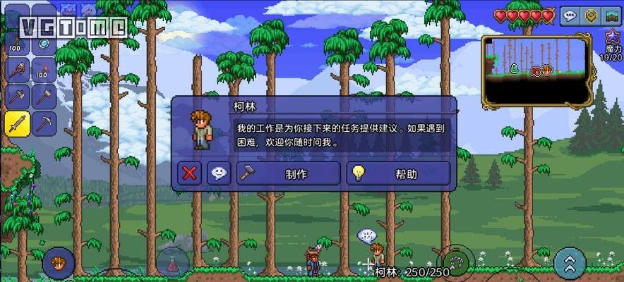 泰拉瑞亚国服联机功能如何使用？常见问题有哪些？  第2张