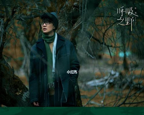 地下城堡2乌鸦任务攻略支线乌鸦帮任务攻略怎么完成？  第2张