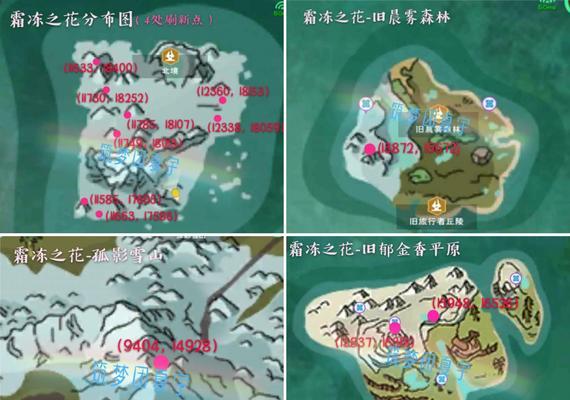 创造与魔法伙伴探险百分百完成攻略？如何确保任务全完成？  第3张