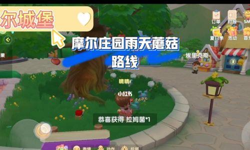 摩尔庄园手游如何提升牧场动物好感度？攻略要点有哪些？  第2张