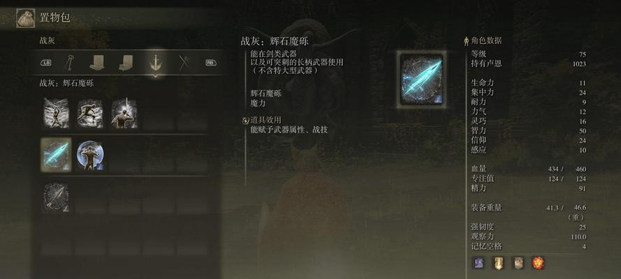 艾尔登法环网络测试如何报名？插队攻略是什么？  第3张