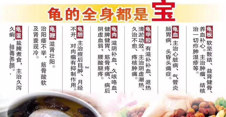 问道游戏中如何获得龟宠物？获取龟宠物的方法有哪些？  第1张