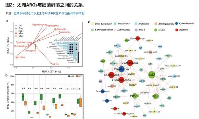问道果果如何增加抗性？提升抗性的最佳方式是什么？  第1张