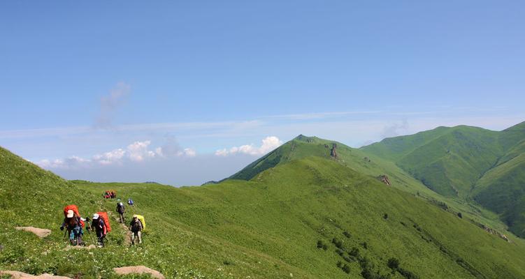 旅行青山问道玩法有哪些？  第3张
