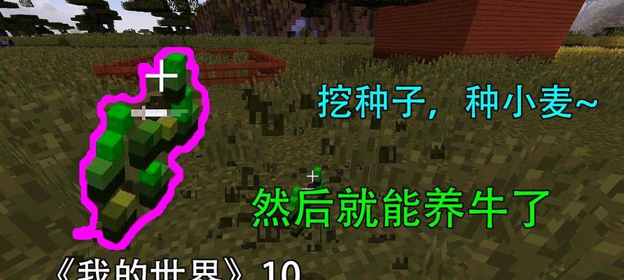 《我的世界》手机版中种子的使用技巧有哪些？  第1张