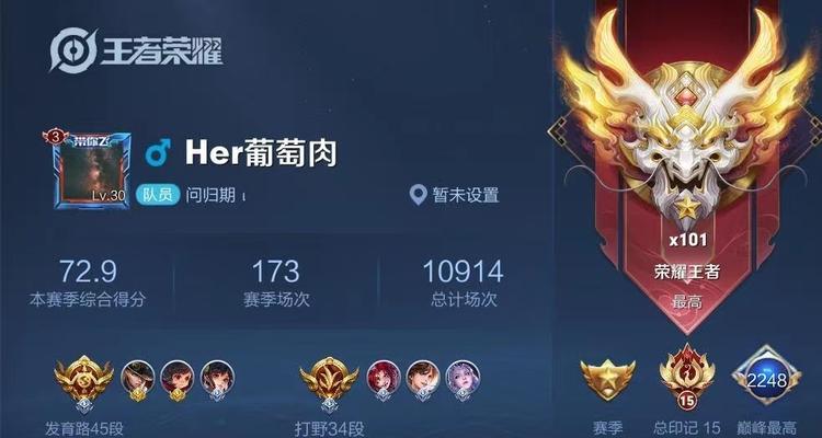 王者荣耀中如何查看自己或他人的段位？段位显示在何处？  第2张