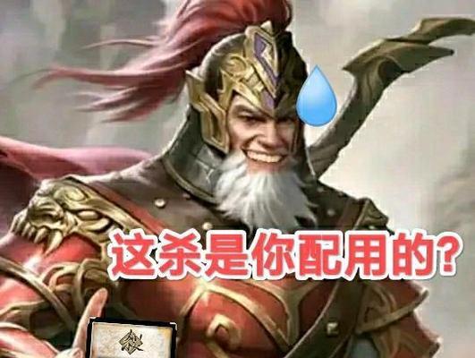 MD爆笑三国杀玩法指南是什么？  第2张