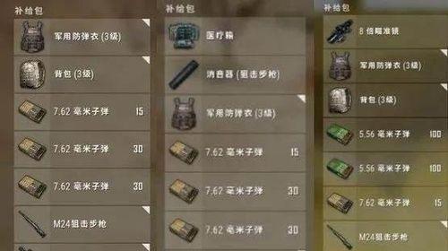 绝地求生中烟雾枪如何正确装备？装备烟雾枪的技巧有哪些？  第3张