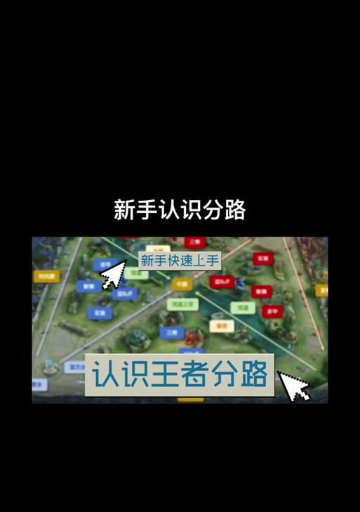 王者荣耀哪个分路的玩家数量最多？  第1张