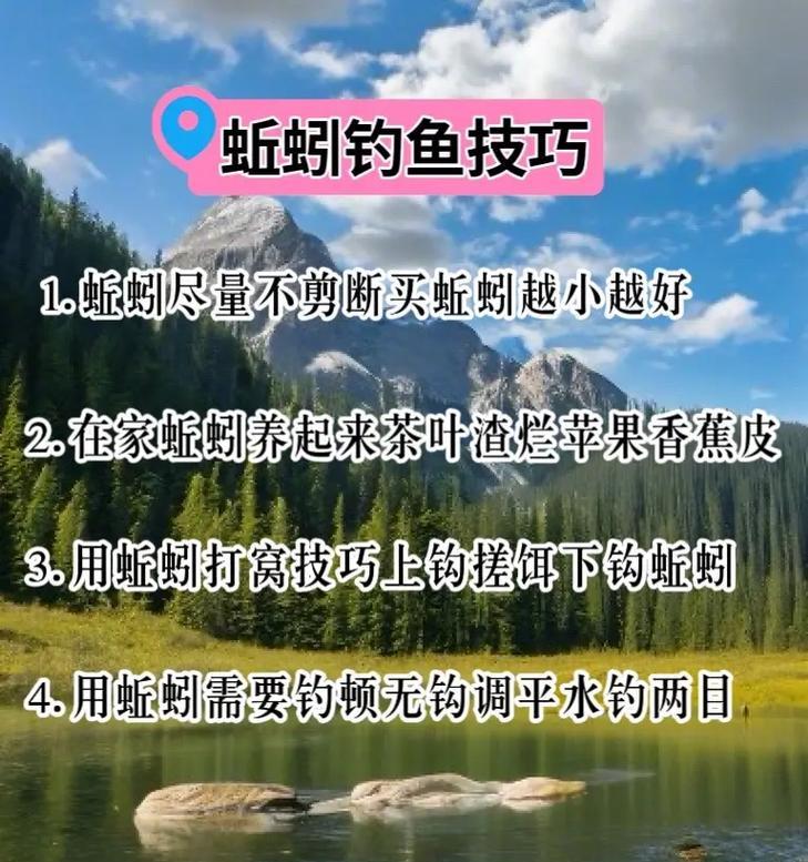 我的世界钓鱼技巧是什么？如何提高钓鱼成功率？  第2张