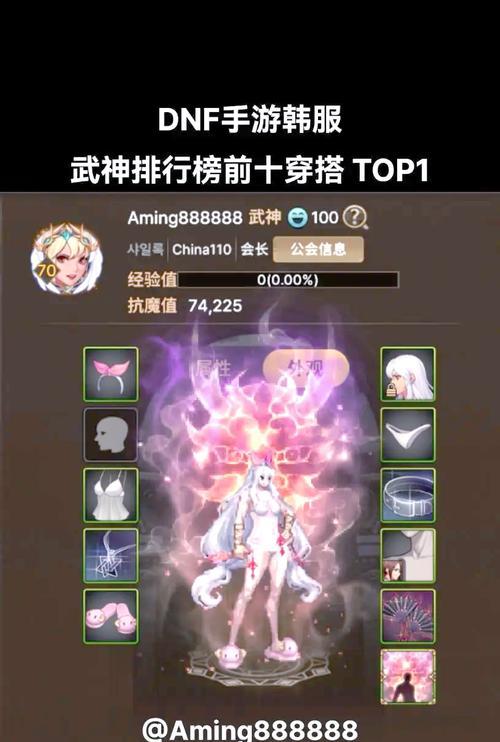 DNF时装点使用技巧是什么？如何最大化时装点价值？  第2张