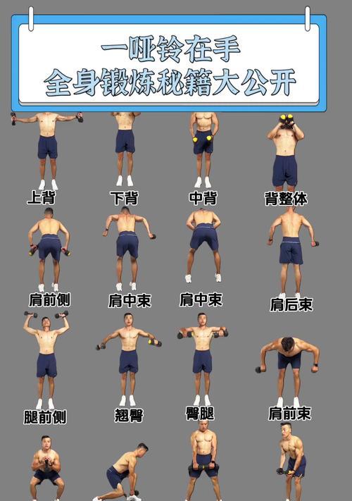 铁哑铃努力值如何快速刷取？  第3张