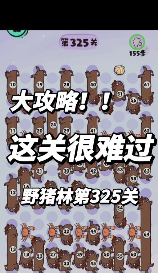 彩虹岛野猪林玩法进入方法是什么？有哪些技巧？  第3张
