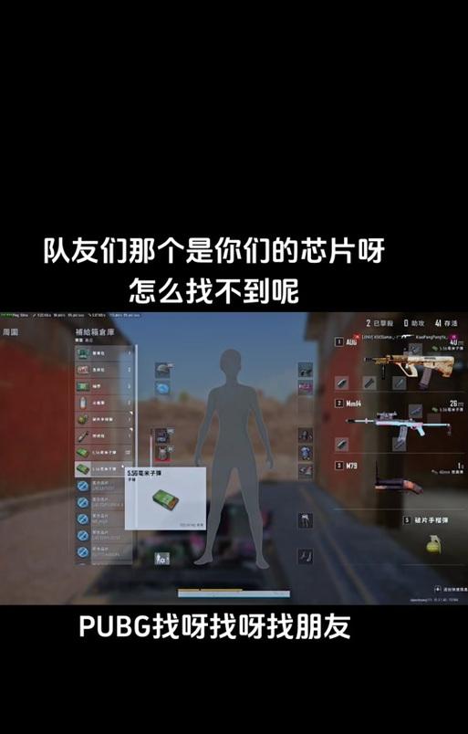 芯片在绝地求生中的使用方法是什么？  第3张