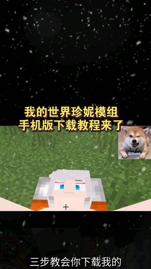我的世界模组下载步骤是什么？  第2张