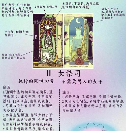 祭司卡牌如何获取？最佳拍档组合是什么？  第3张