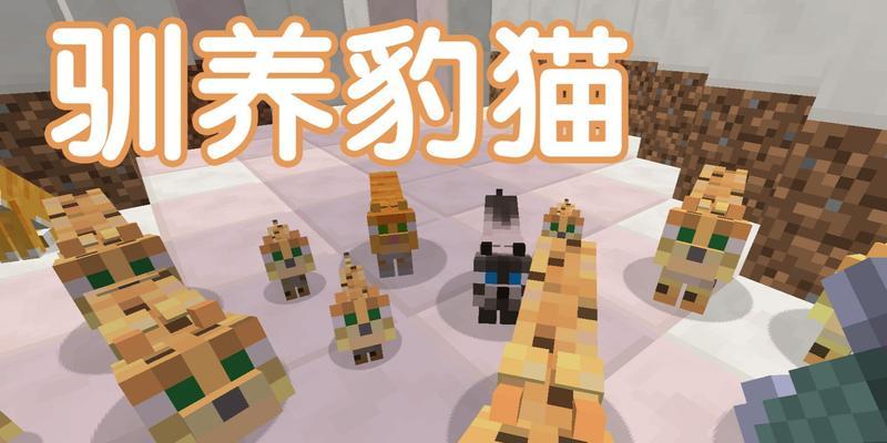 我的世界中豹猫训练方法是什么？  第1张