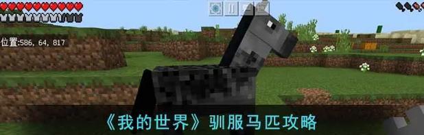 我的世界中如何让马变色？马变色的方法有哪些？  第1张