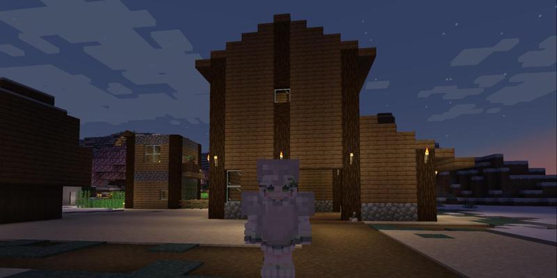 建造Minecraft车库需要哪些材料？  第1张