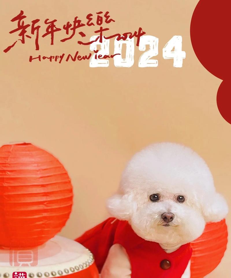 《天天风之旅》游戏中的福娃宠物（喜喜庆庆）  第1张