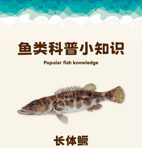 我的世界鳜鱼寻找技巧是什么？  第1张