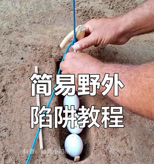 兔子陷阱的制作方法是什么？如何在Minecraft中设置？  第1张