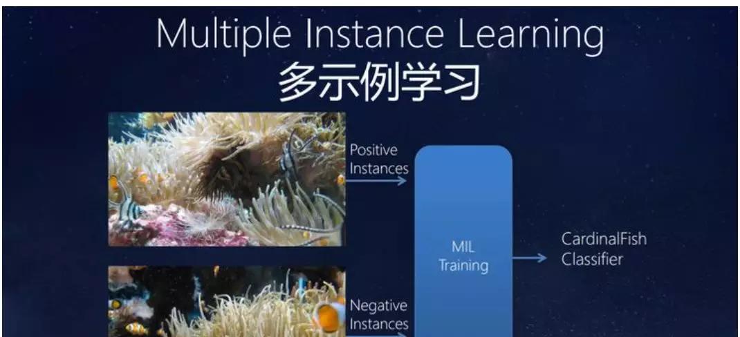 弱监督学习在医学影像中的探索  第5张